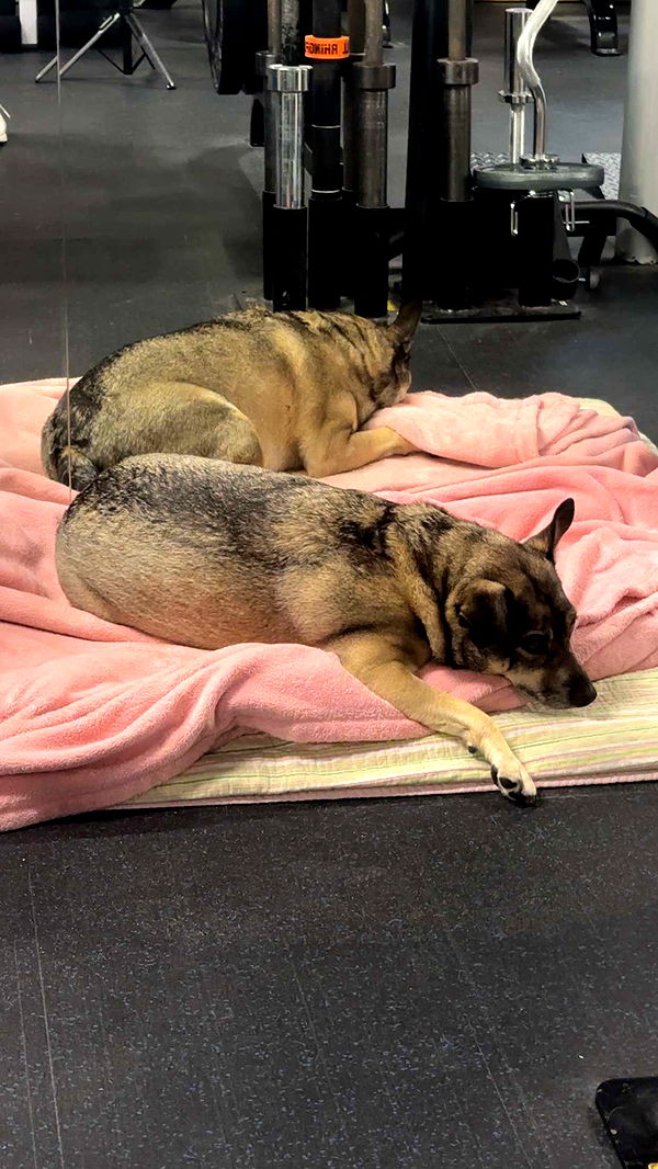 kaylamanouss17 image ~ Altpins