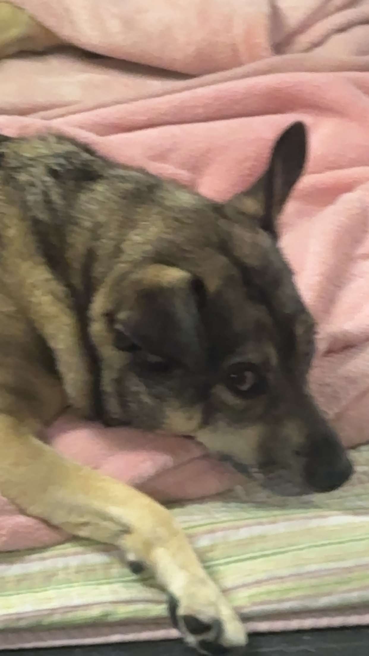 kaylamanouss17 snapchat image archive image