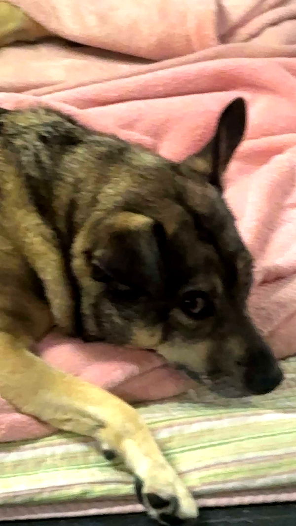 kaylamanouss17 image ~ Altpins