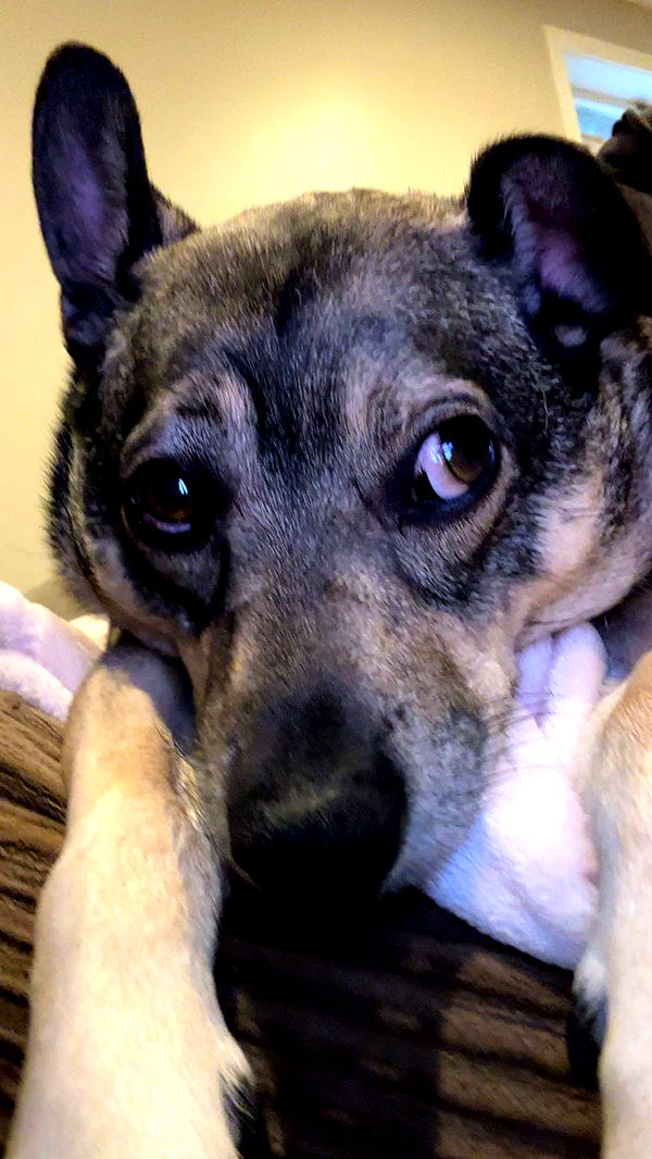 kaylamanouss17 image ~ Altpins