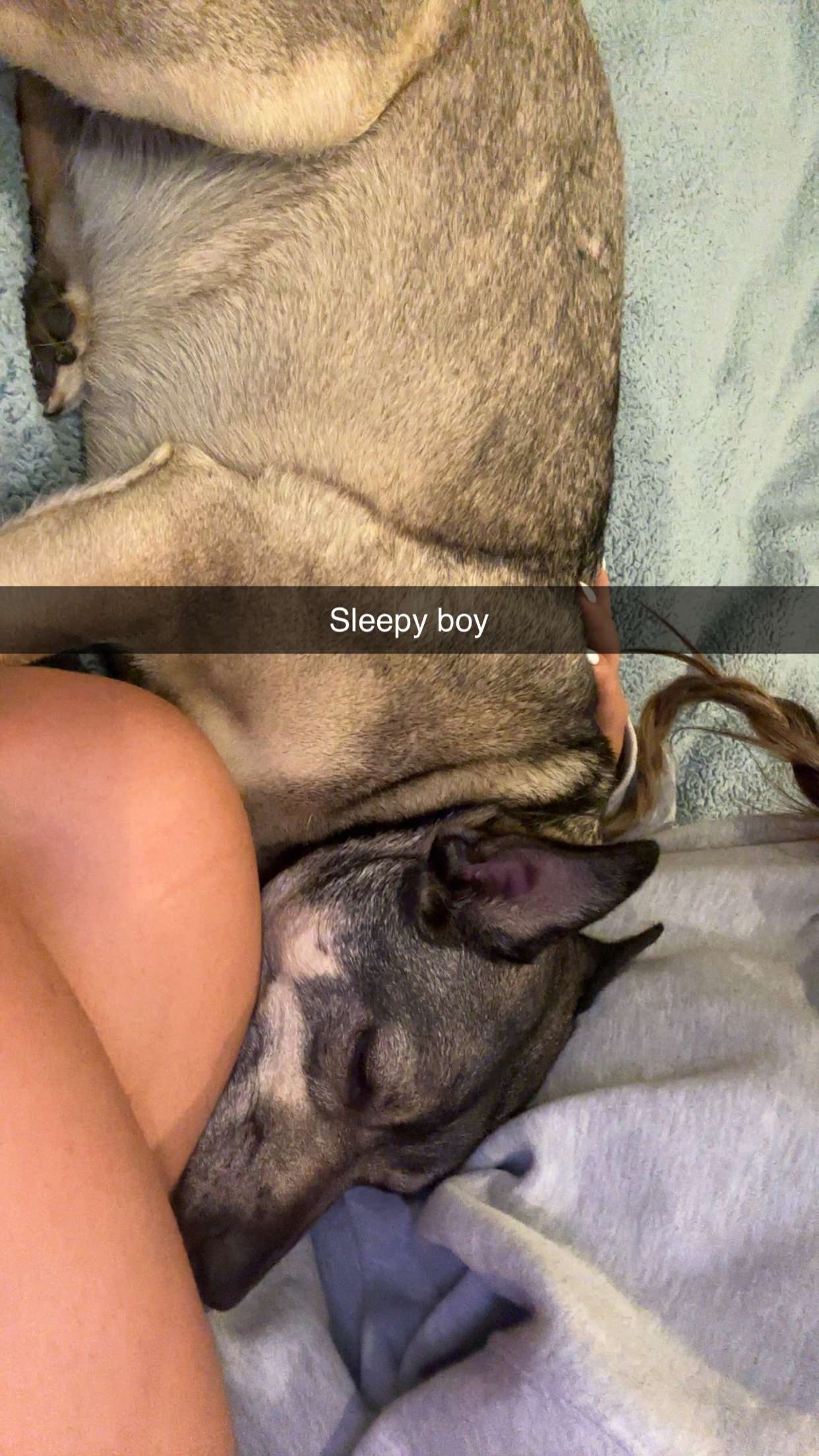 kaylamanouss17 snapchat image archive image