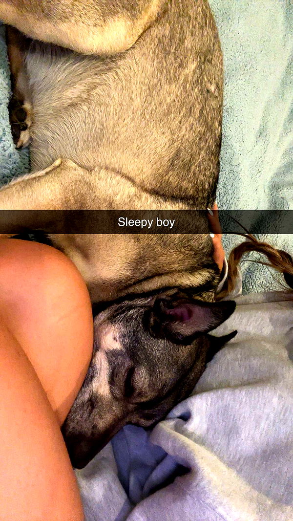 kaylamanouss17 image ~ Altpins