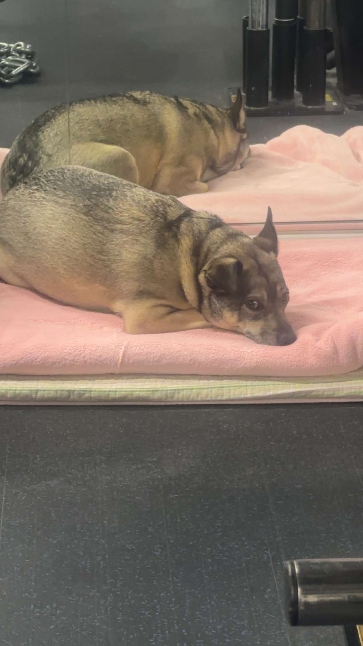 kaylamanouss17 snapchat image archive image