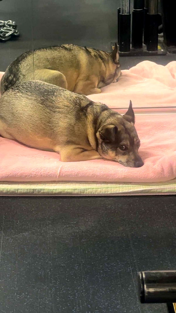 kaylamanouss17 image ~ Altpins