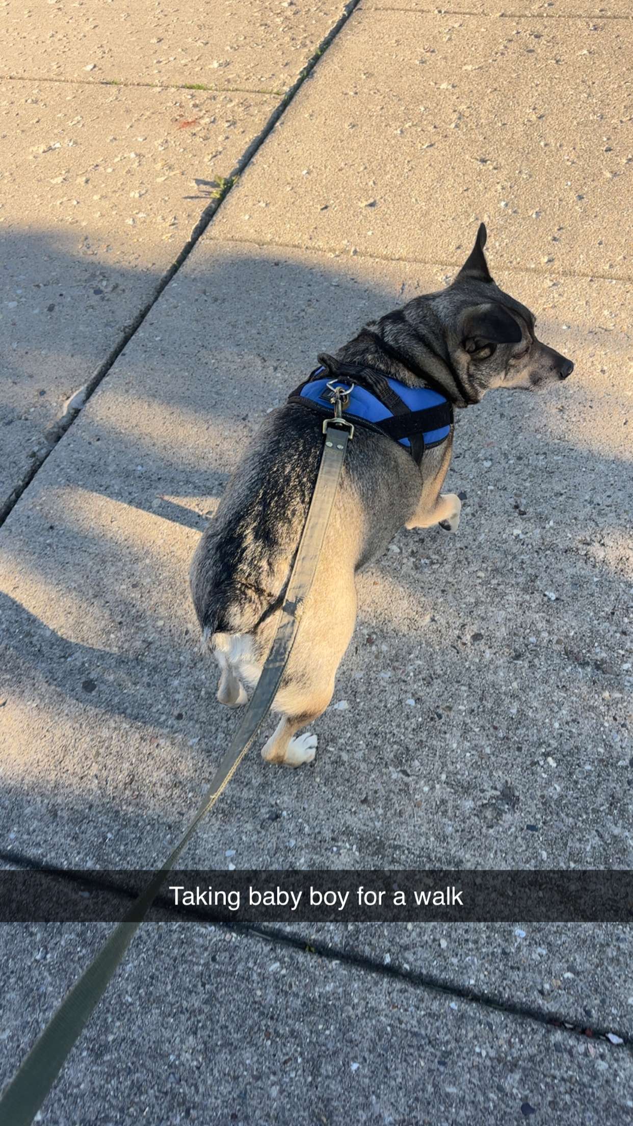 kaylamanouss17 snapchat image archive image