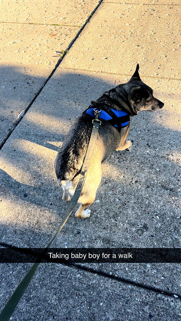 kaylamanouss17 image ~ Altpins