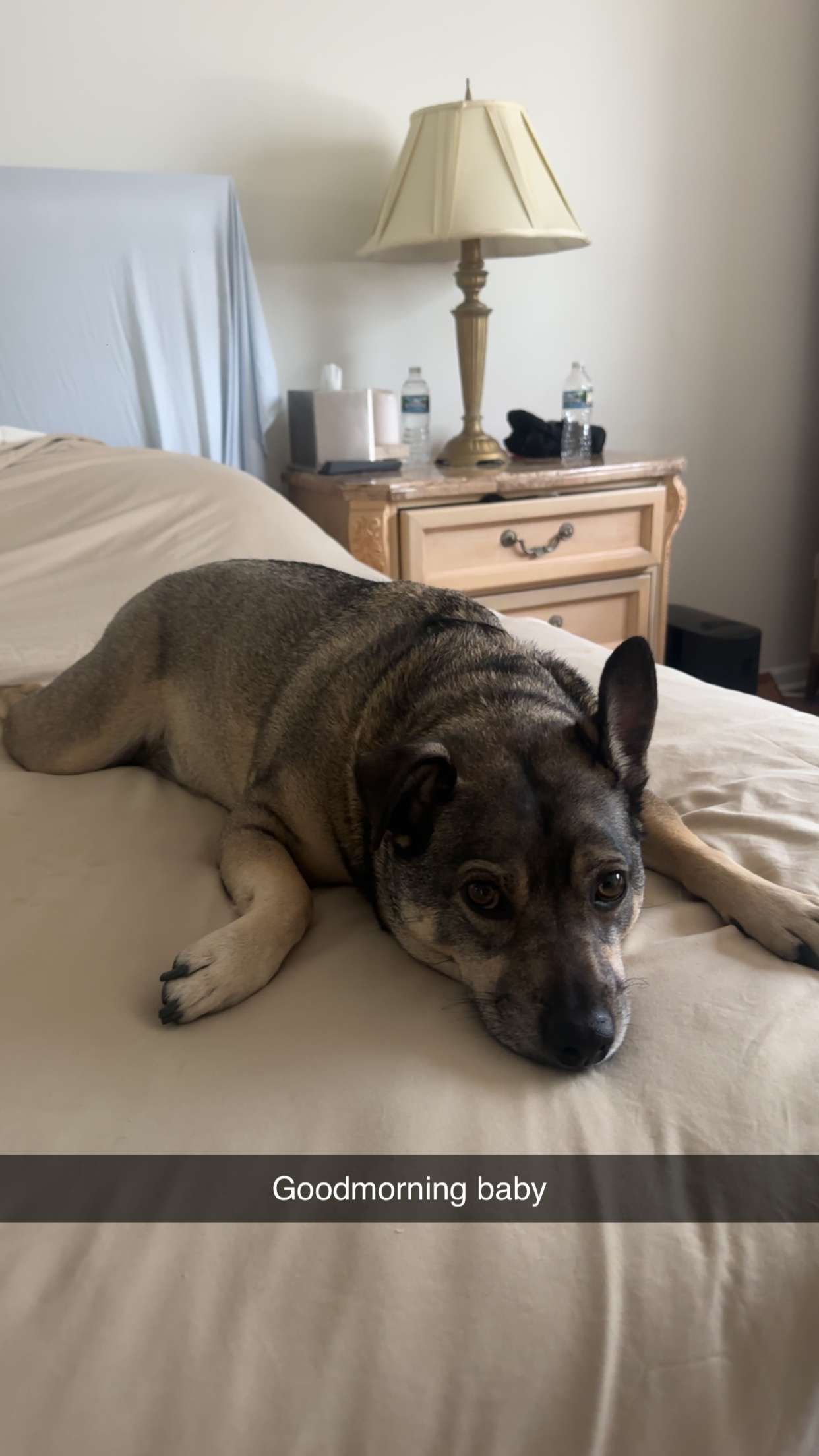 kaylamanouss17 snapchat image archive image