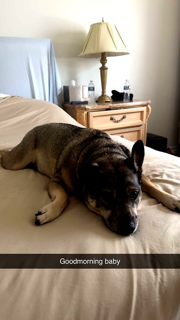 kaylamanouss17 image ~ Altpins