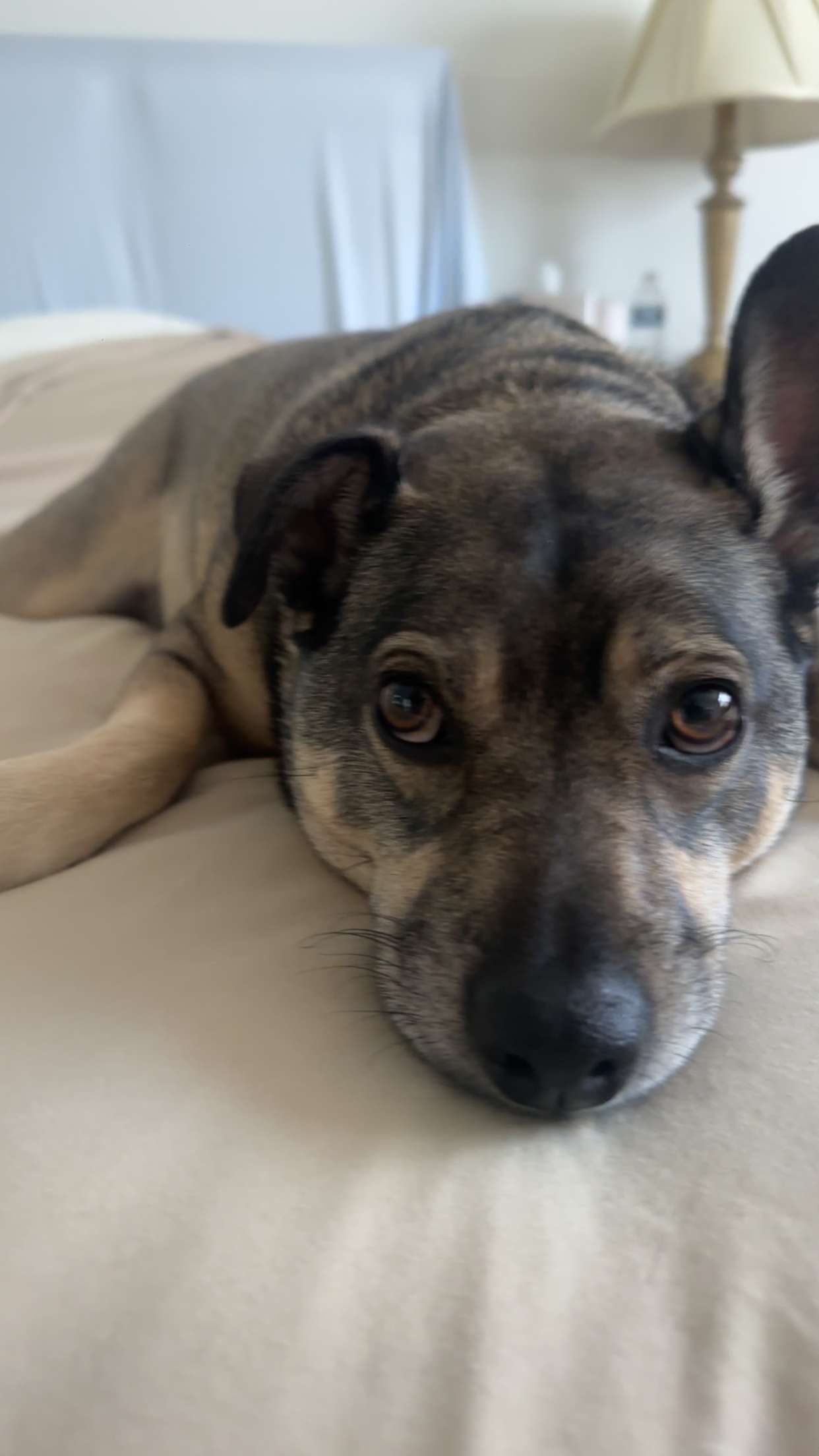 kaylamanouss17 snapchat image archive image