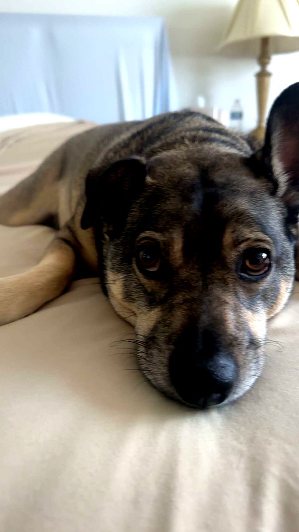 kaylamanouss17 image ~ Altpins