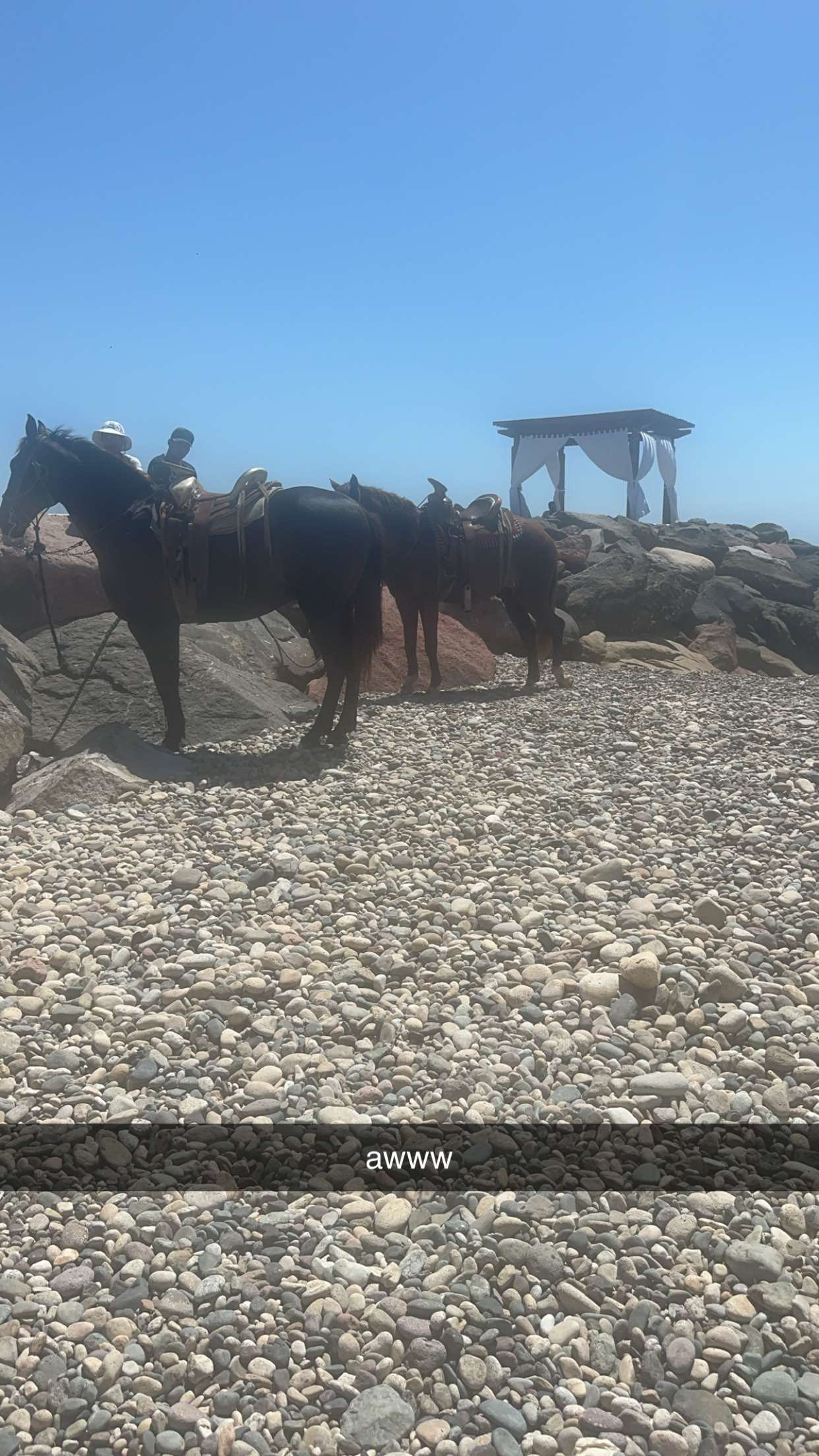 kaylamanouss17 snapchat image archive image