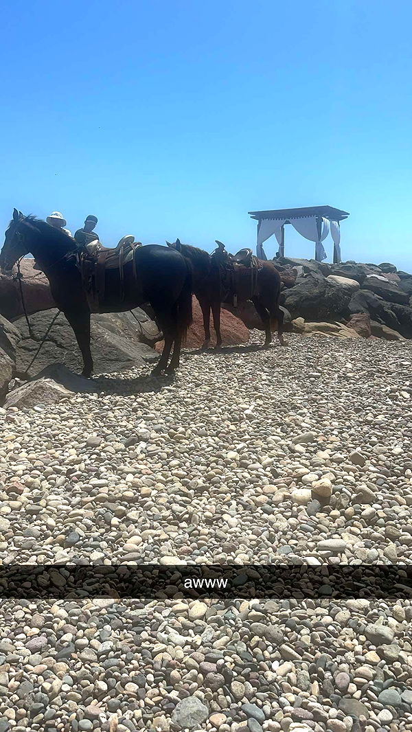 kaylamanouss17 image ~ Altpins