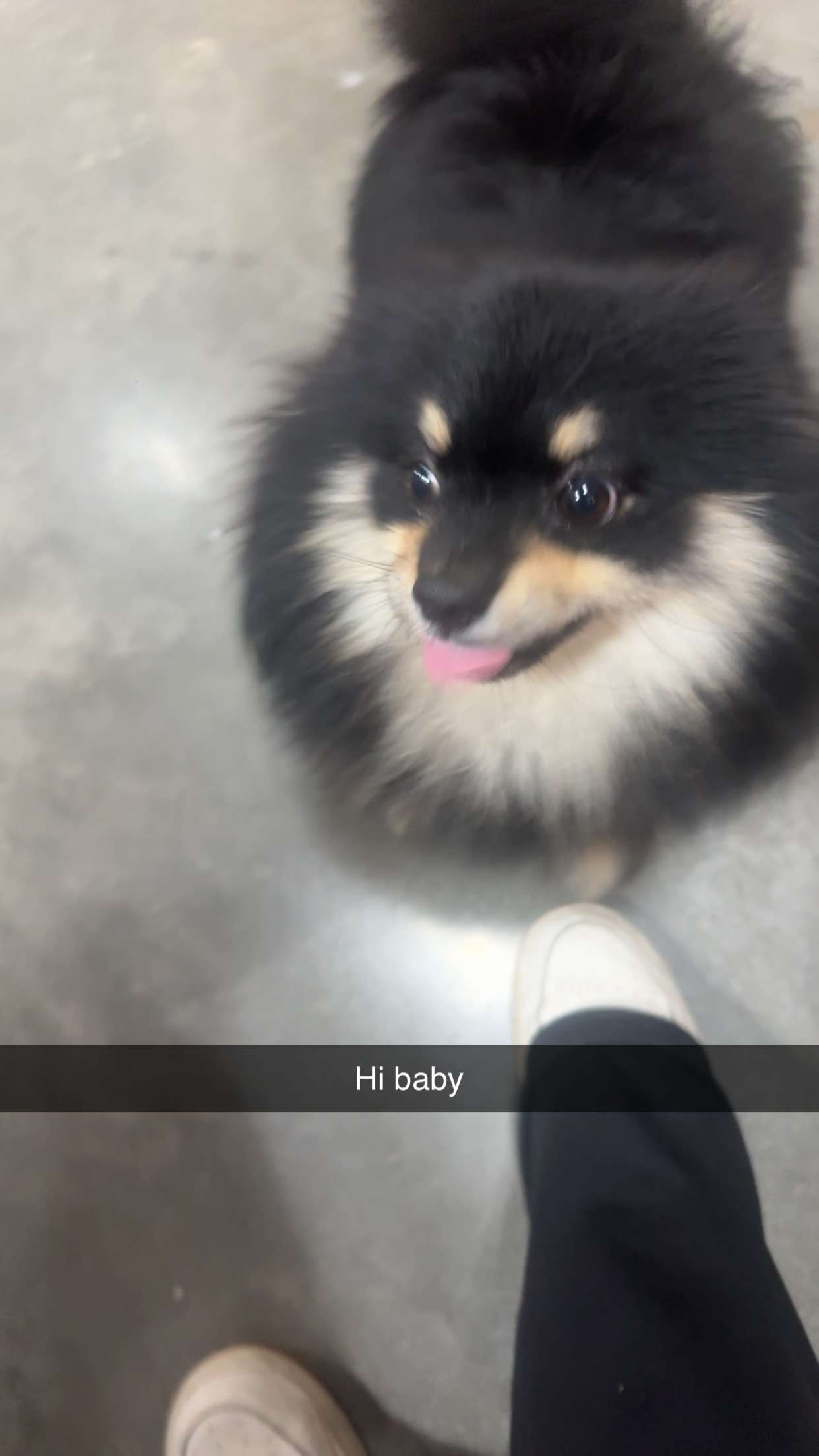 kaylamanouss17 snapchat image archive image