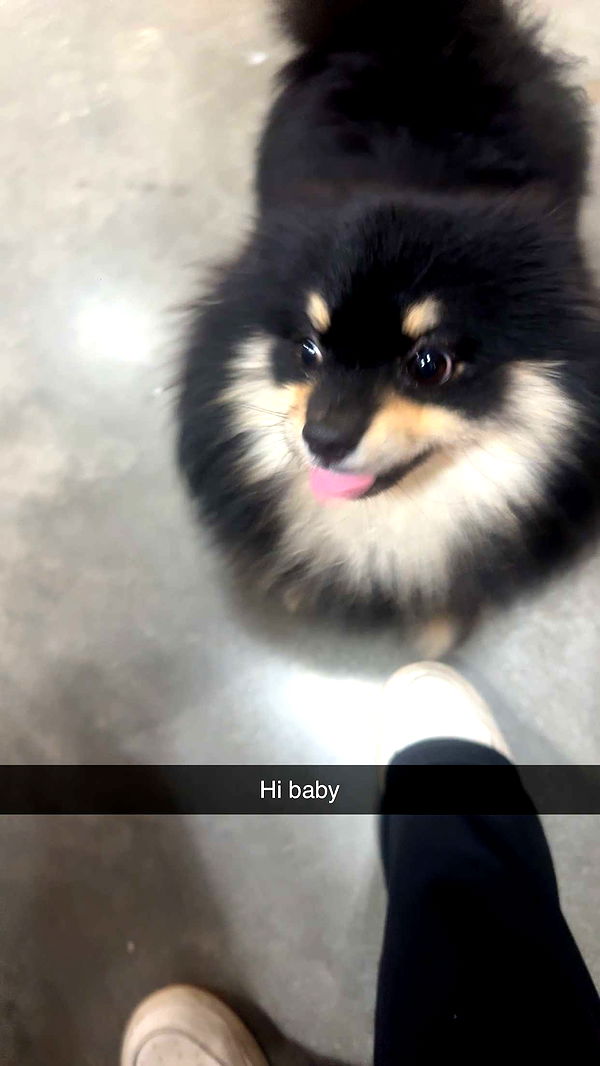 kaylamanouss17 image ~ Altpins