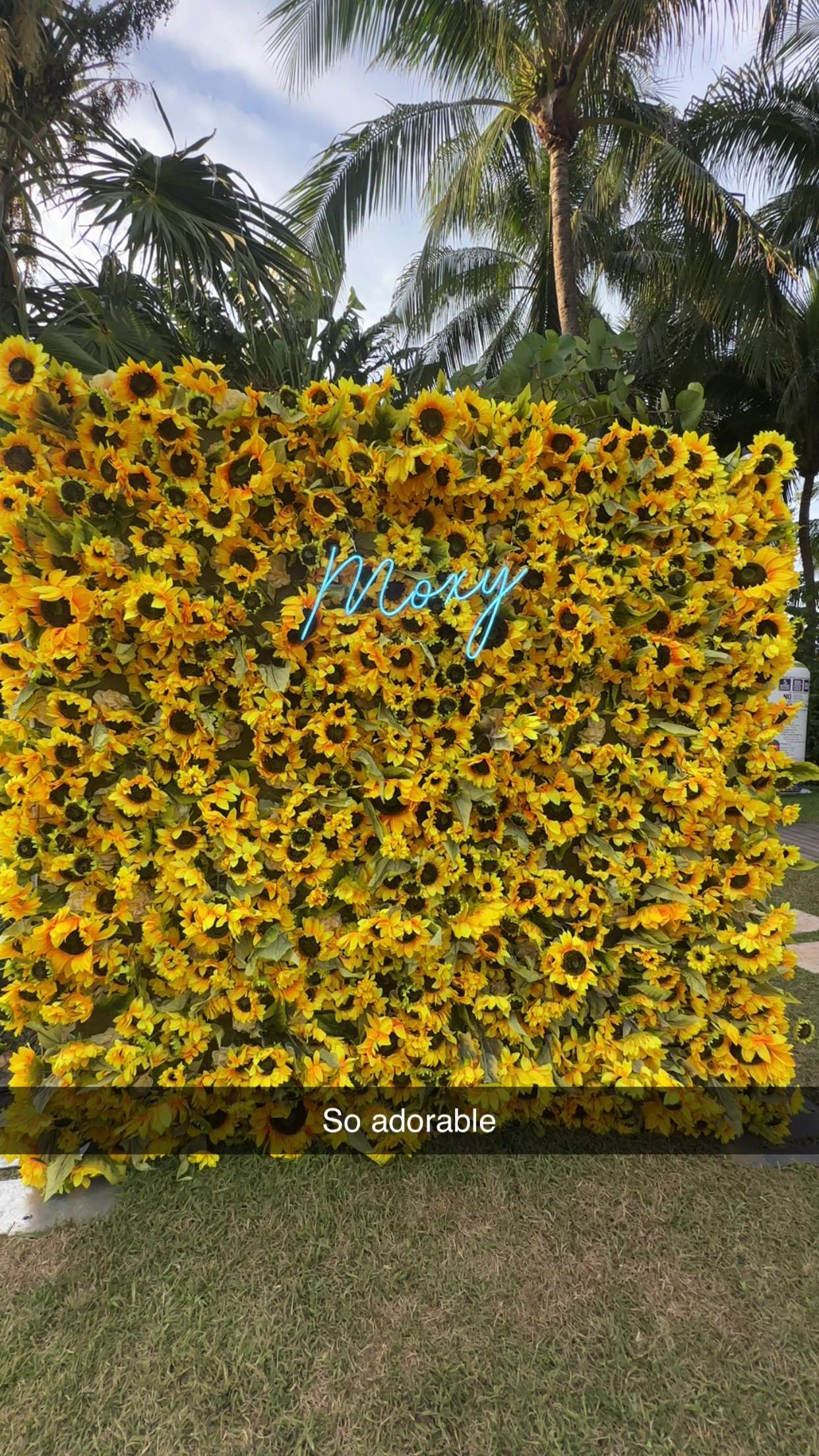 kaylamanouss17 snapchat image archive image