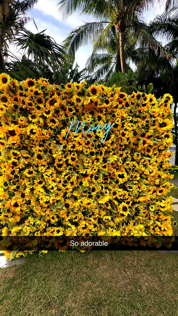 kaylamanouss17 image ~ Altpins