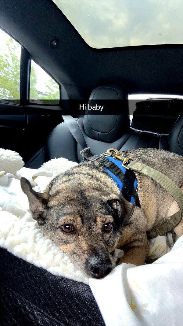 kaylamanouss17 image ~ Altpins