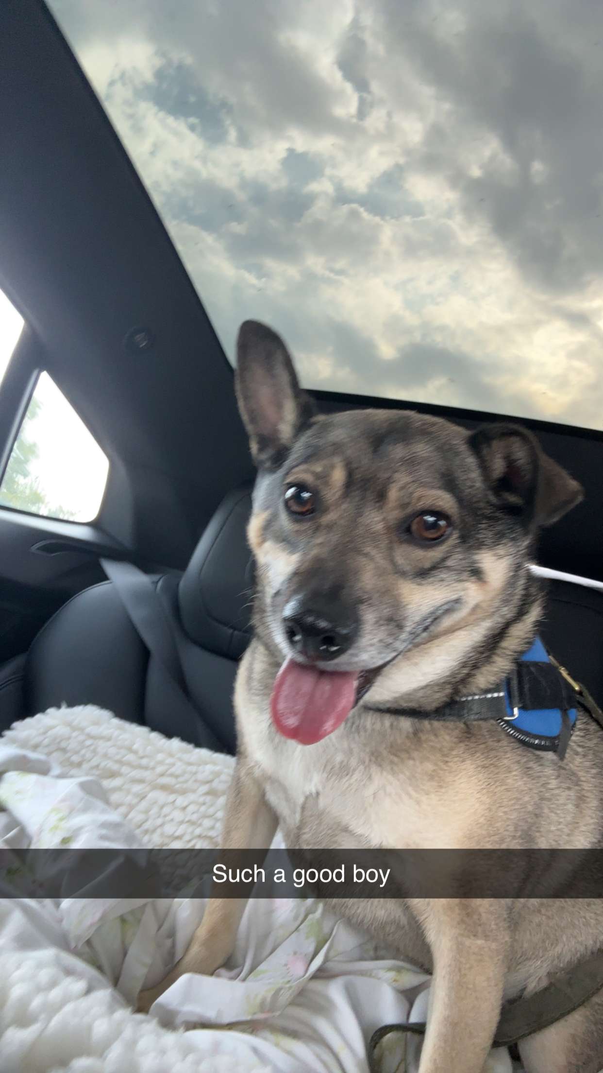 kaylamanouss17 snapchat image archive image