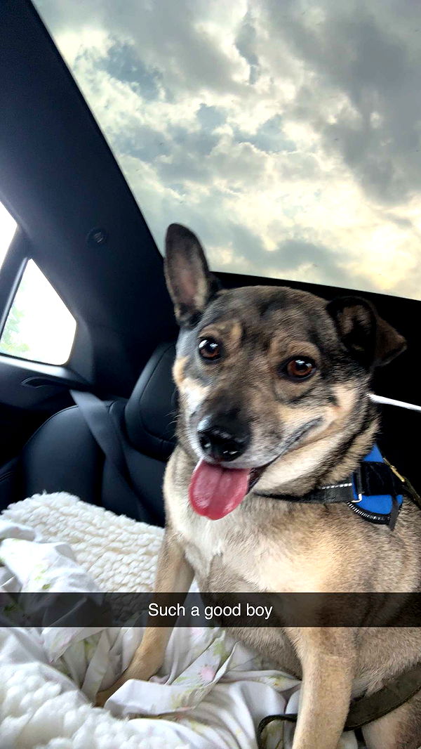 kaylamanouss17 image ~ Altpins