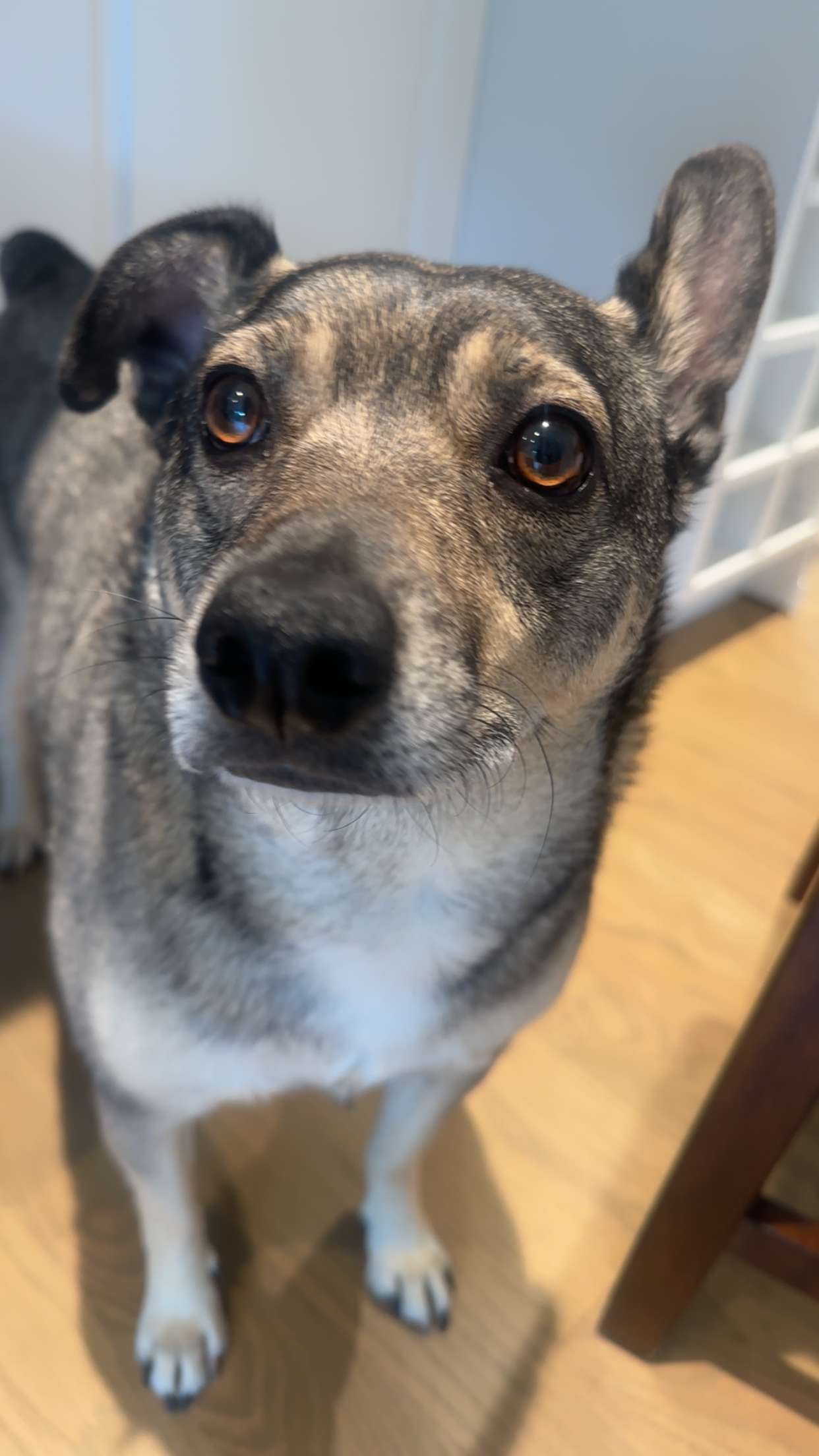 kaylamanouss17 snapchat image archive image