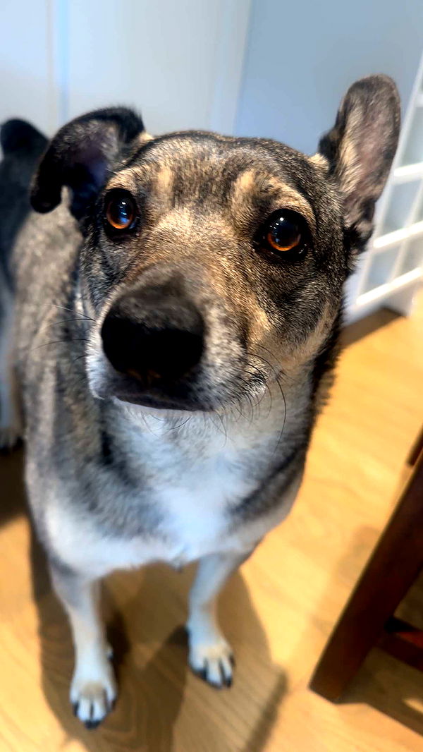 kaylamanouss17 image ~ Altpins