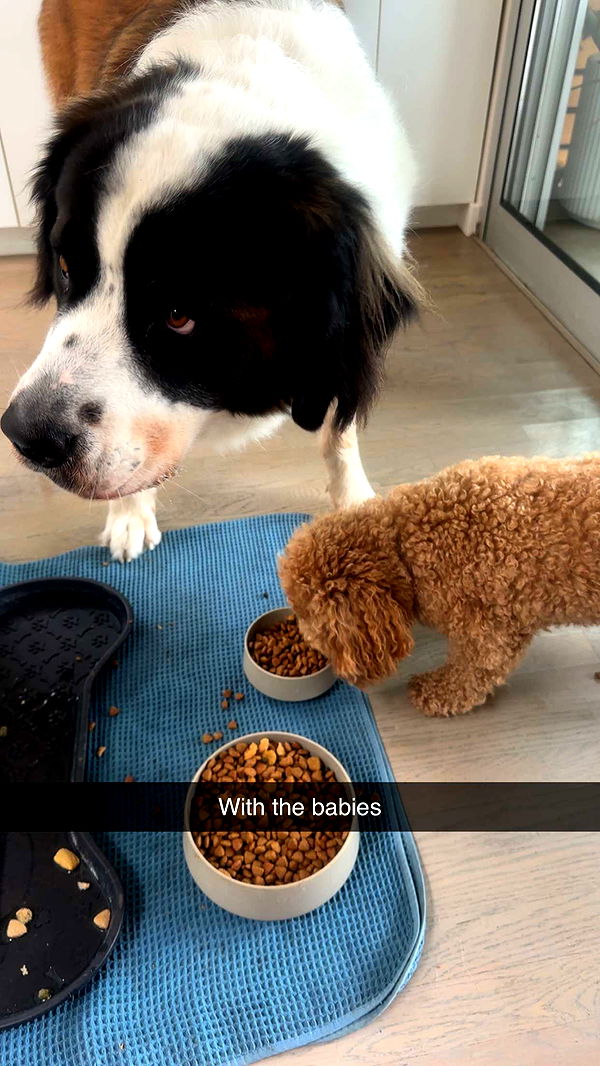 kaylamanouss17 image ~ Altpins