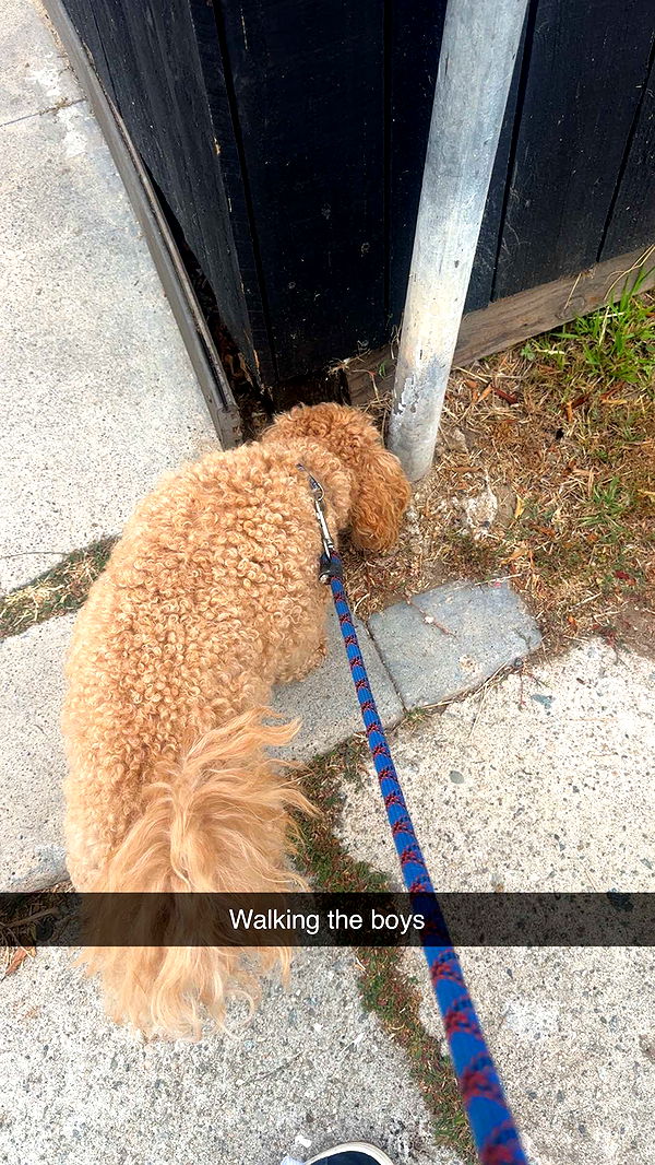 kaylamanouss17 image ~ Altpins