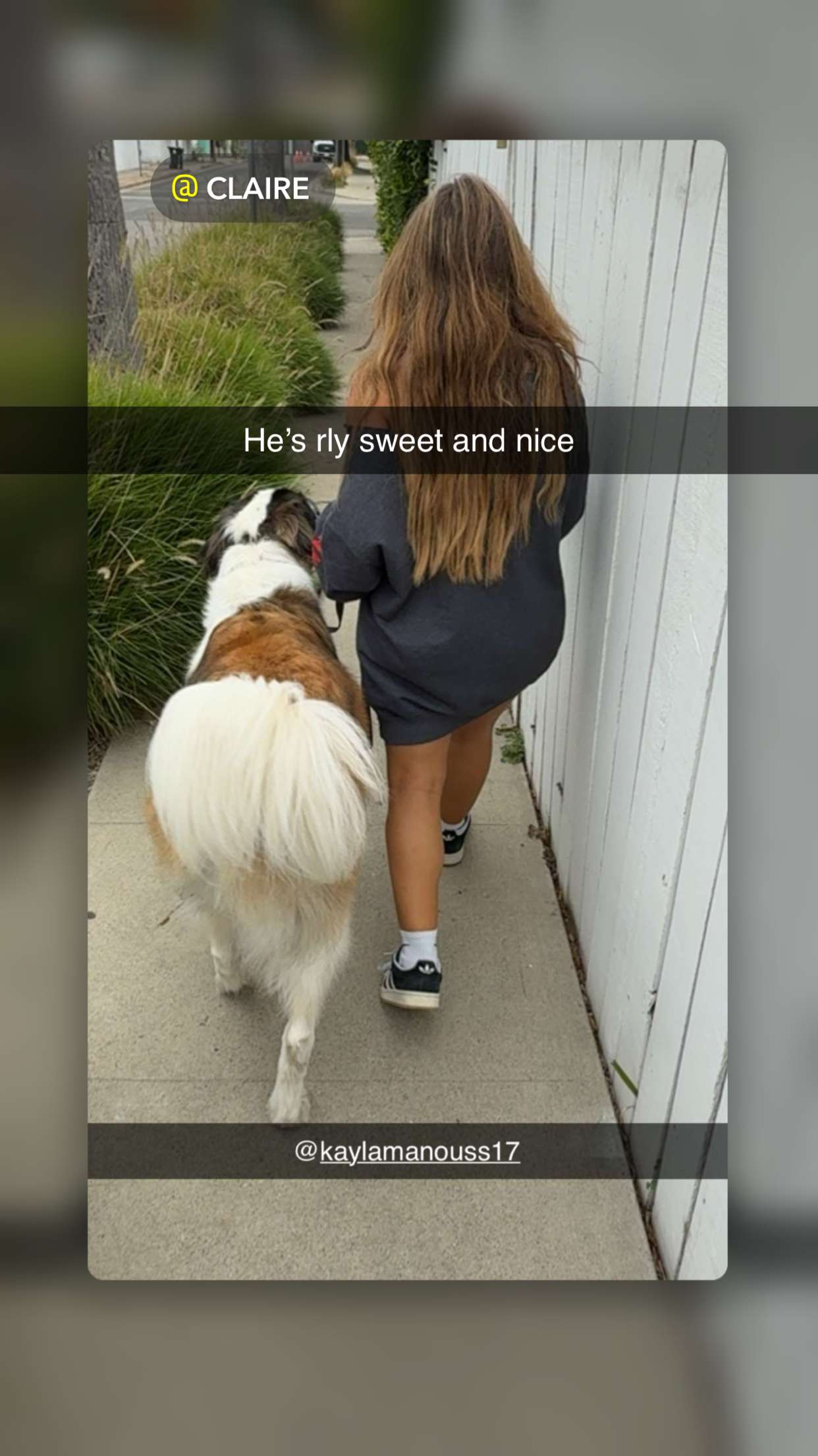 kaylamanouss17 snapchat image archive image