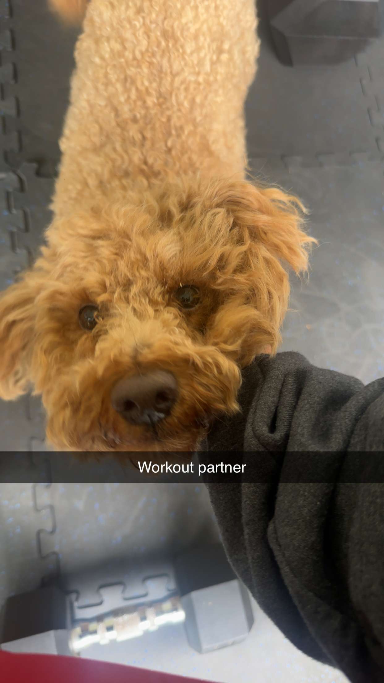 kaylamanouss17 snapchat image archive image