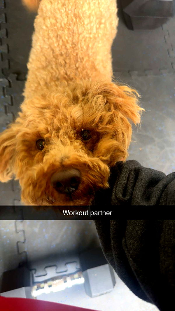 kaylamanouss17 image ~ Altpins