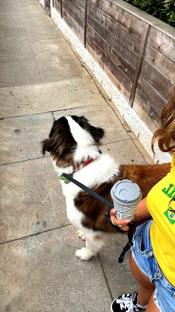 kaylamanouss17 image ~ Altpins