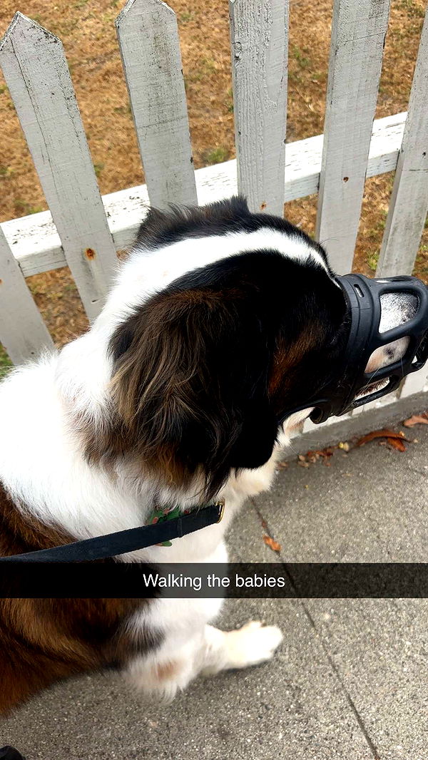 kaylamanouss17 image ~ Altpins