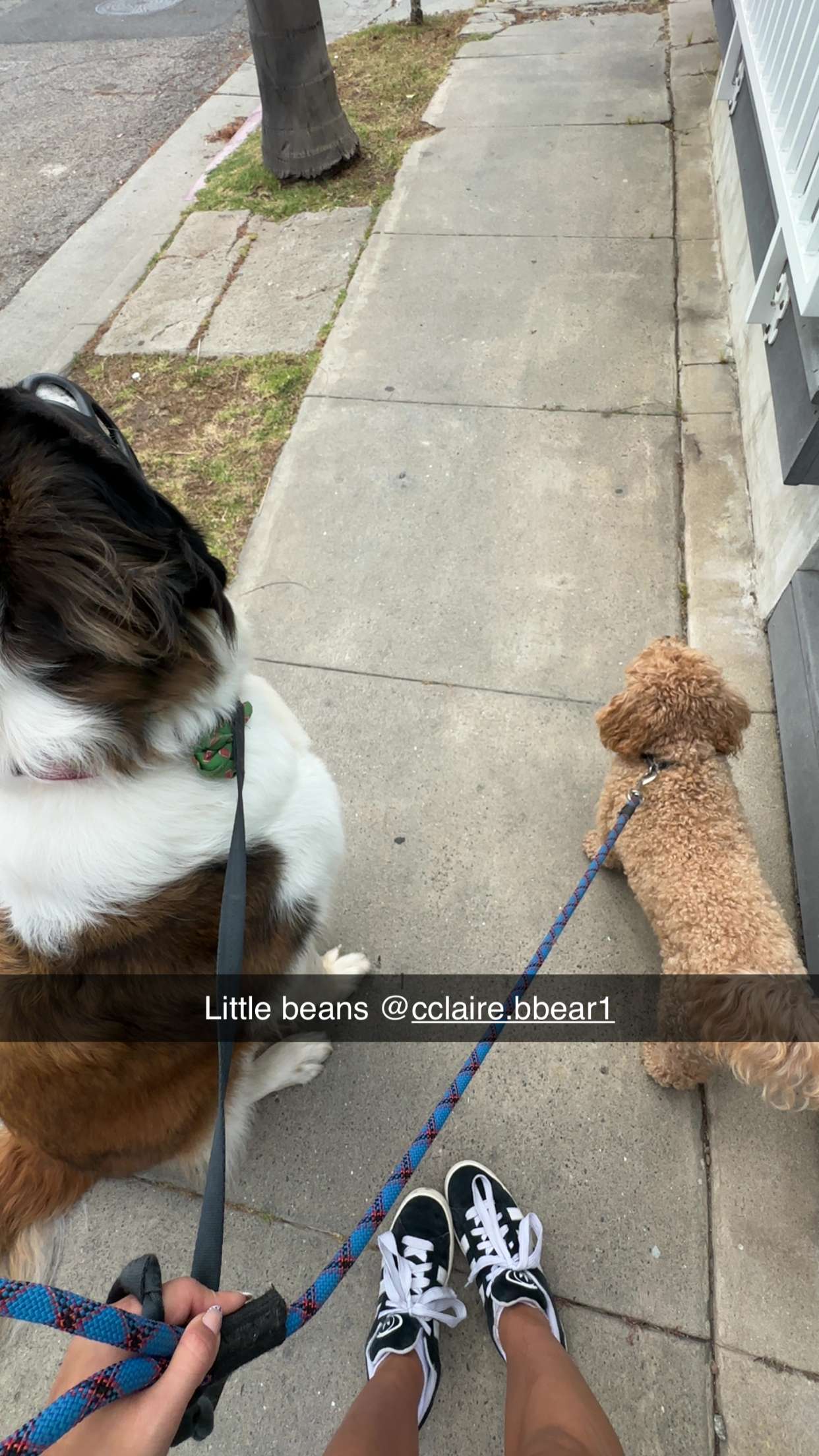 kaylamanouss17 snapchat image archive image