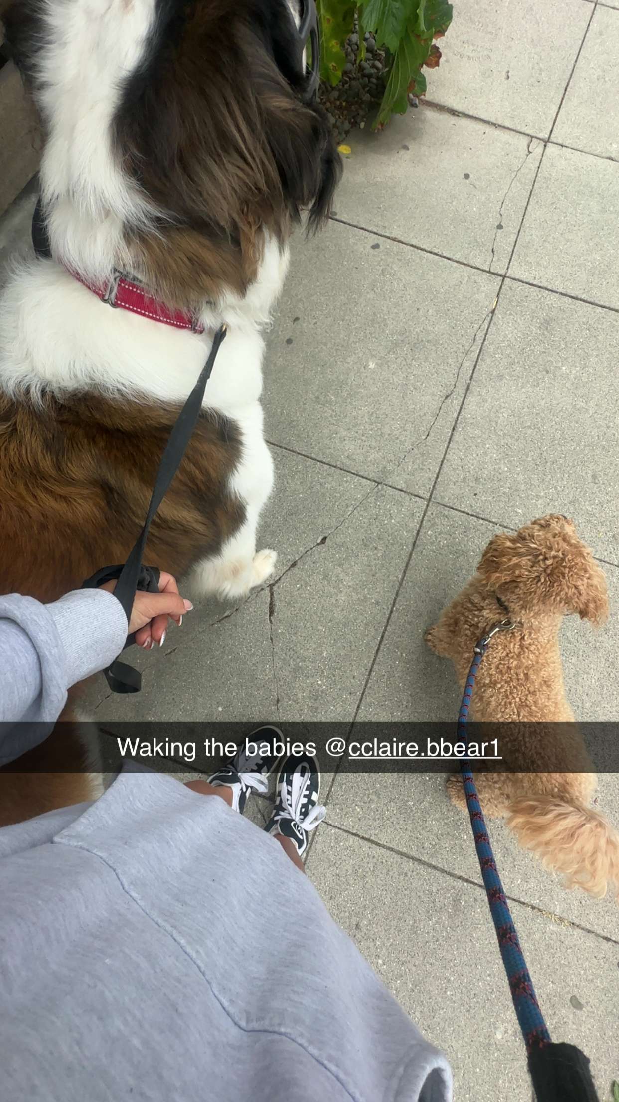 kaylamanouss17 snapchat image archive image