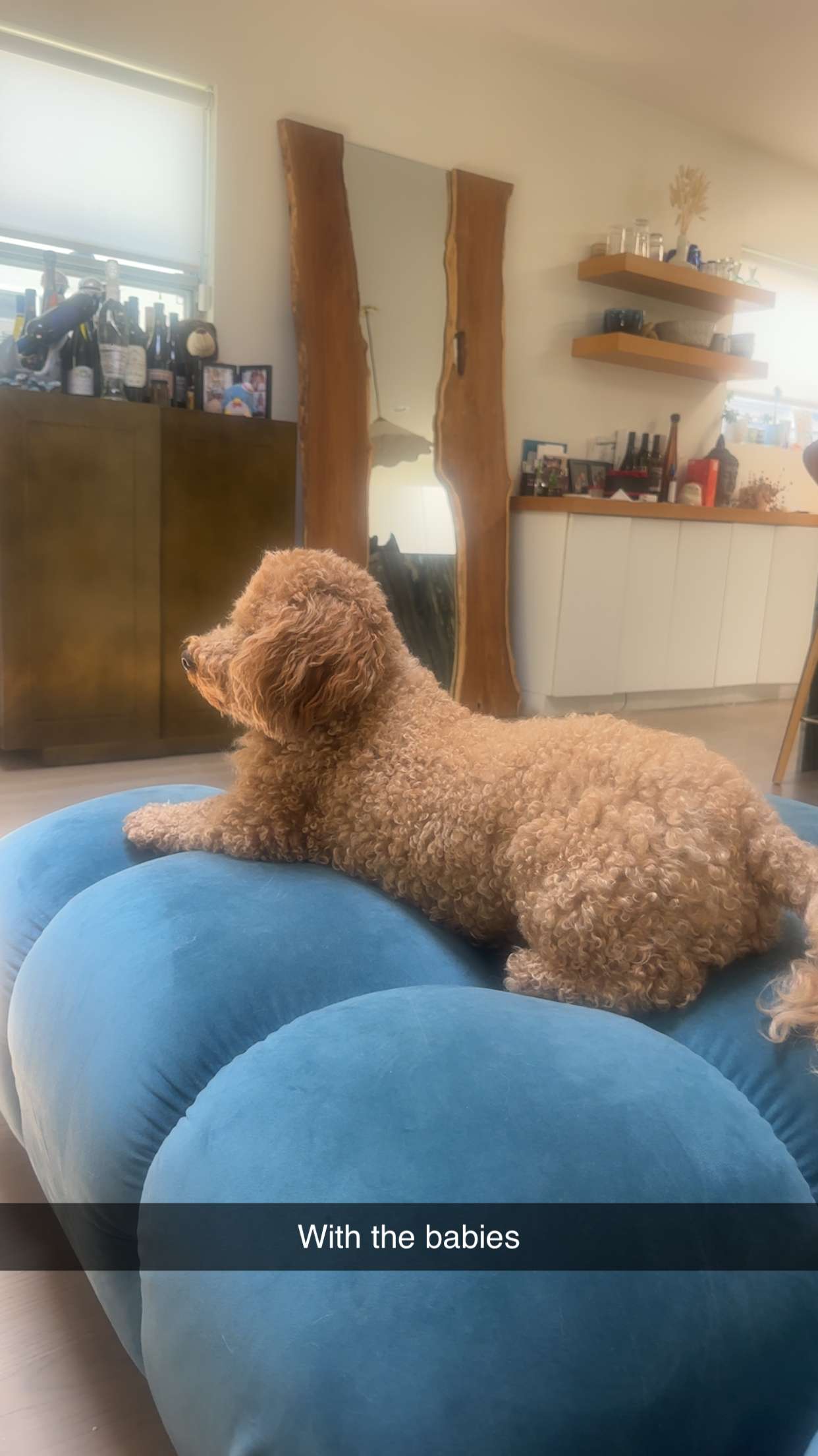 kaylamanouss17 snapchat image archive image