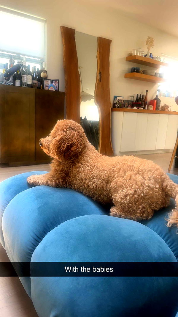 kaylamanouss17 image ~ Altpins