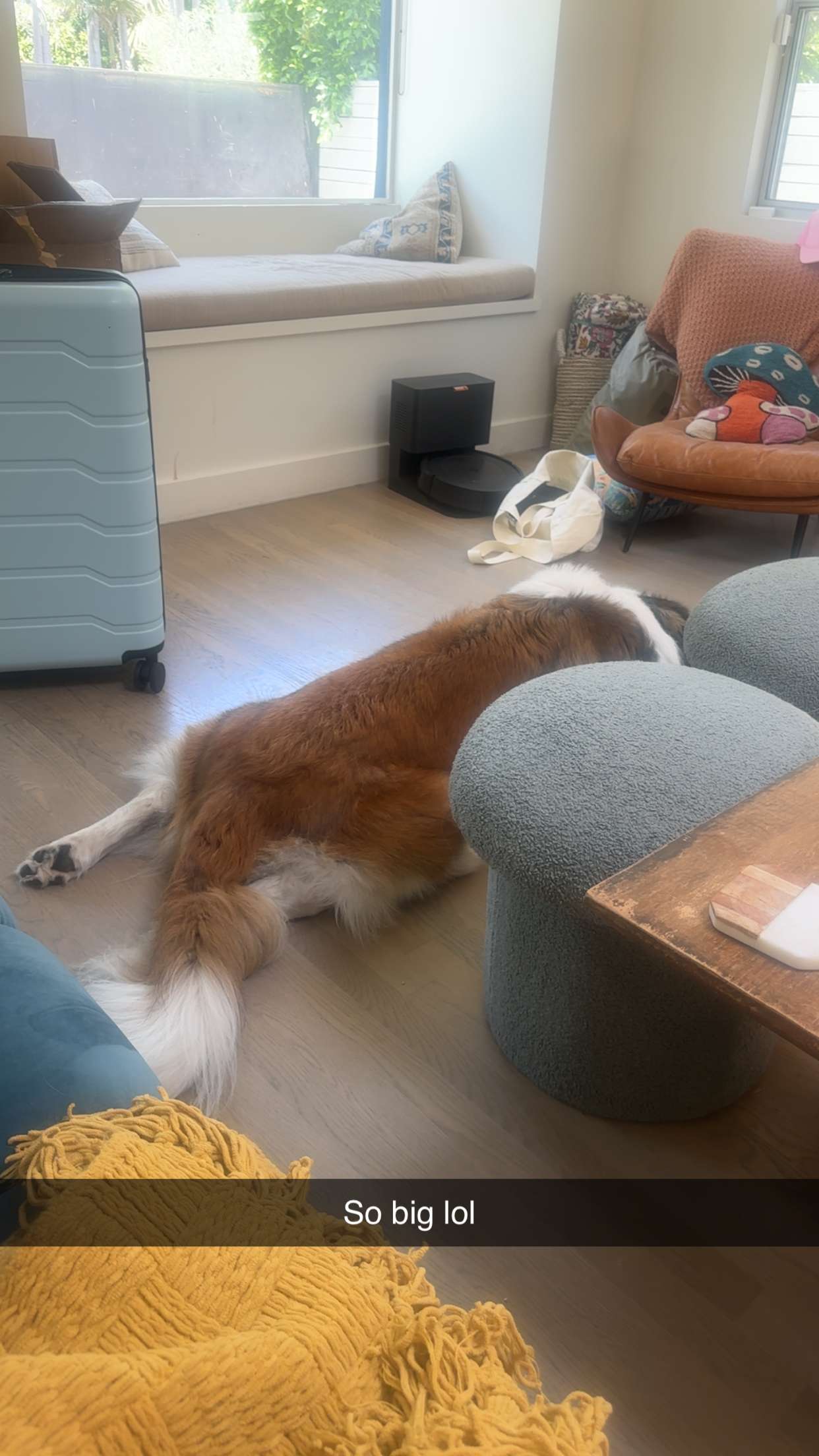 kaylamanouss17 snapchat image archive image