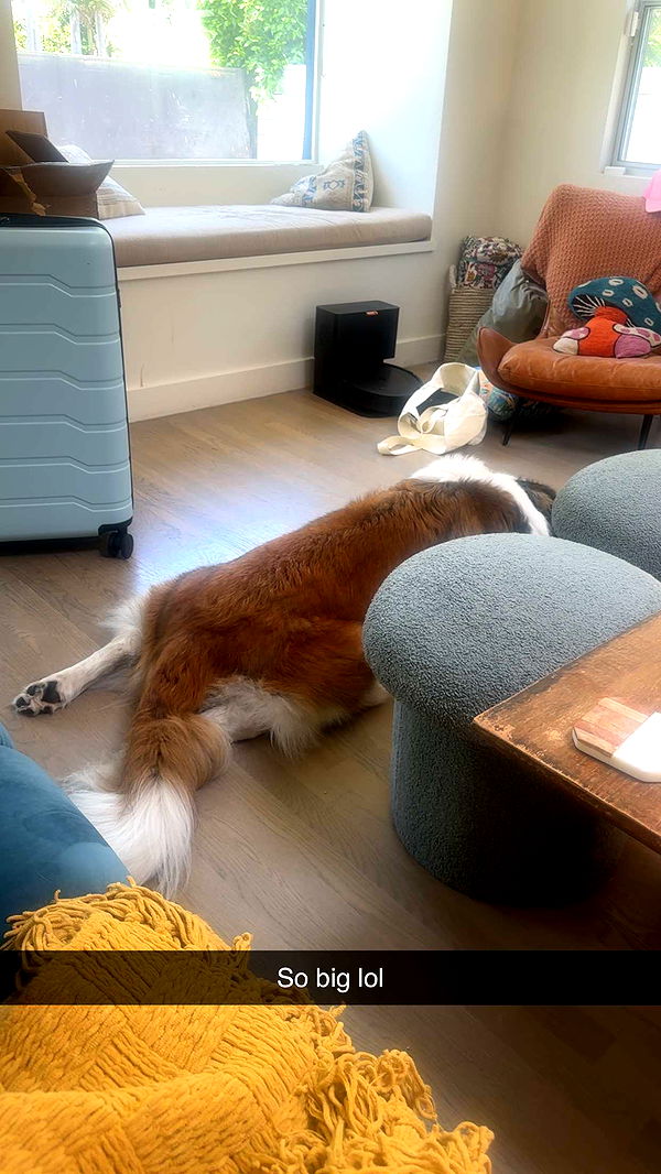 kaylamanouss17 image ~ Altpins