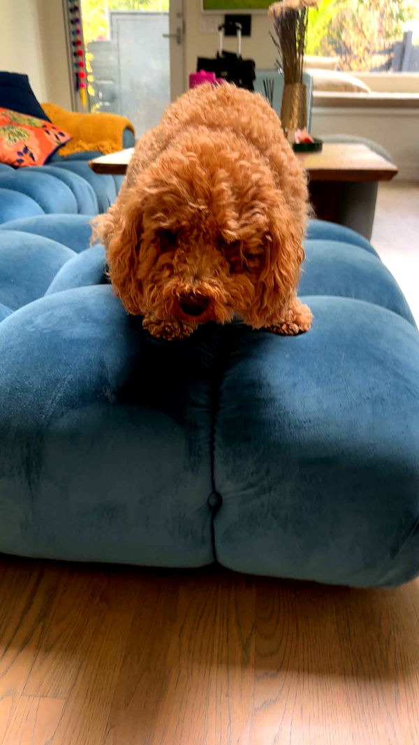 kaylamanouss17 image ~ Altpins