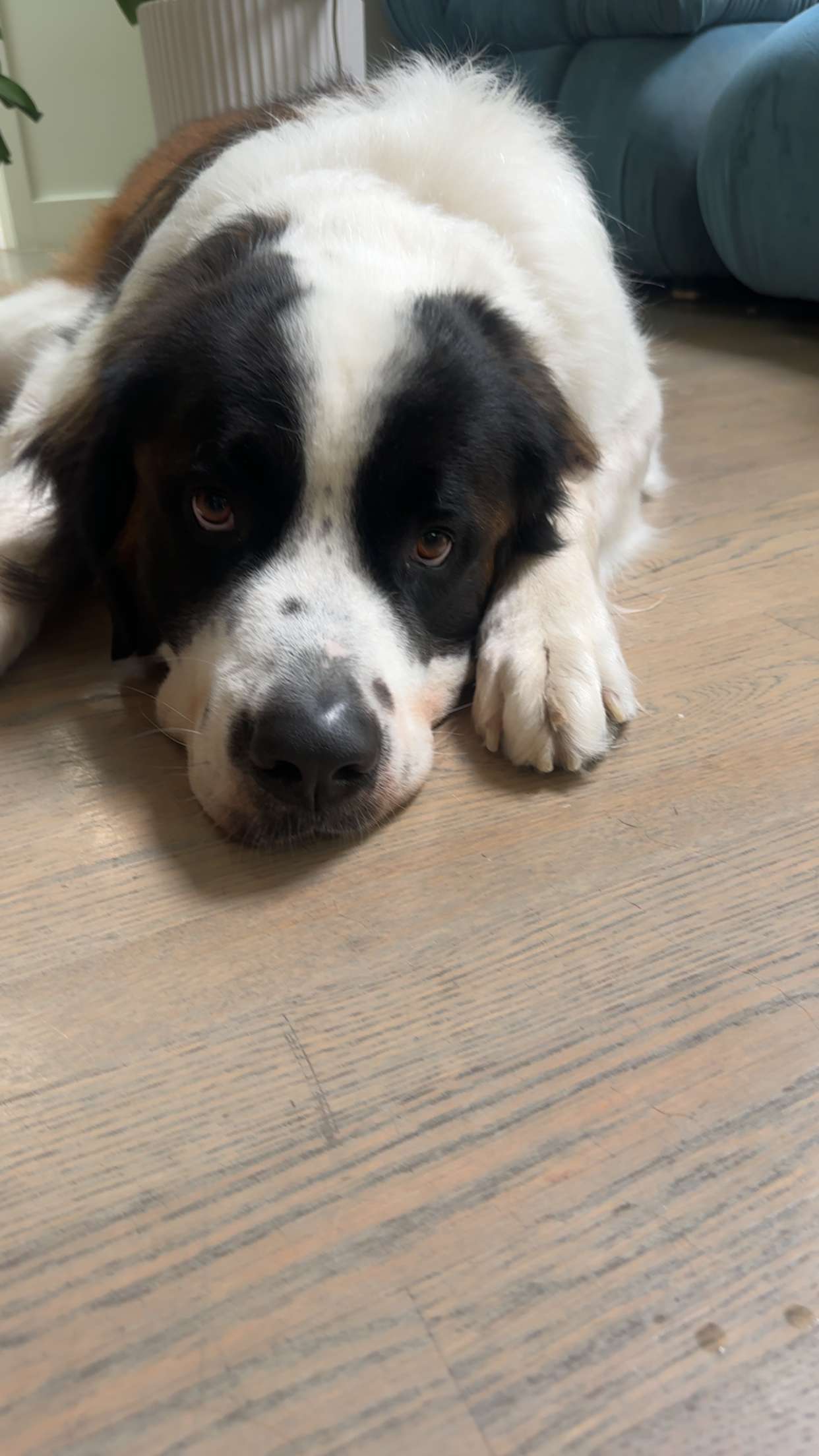 kaylamanouss17 snapchat image archive image