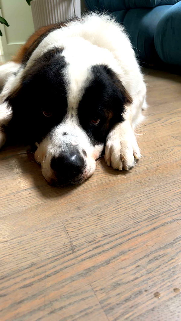 kaylamanouss17 image ~ Altpins