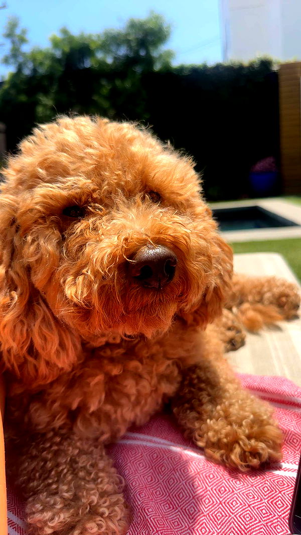 kaylamanouss17 image ~ Altpins