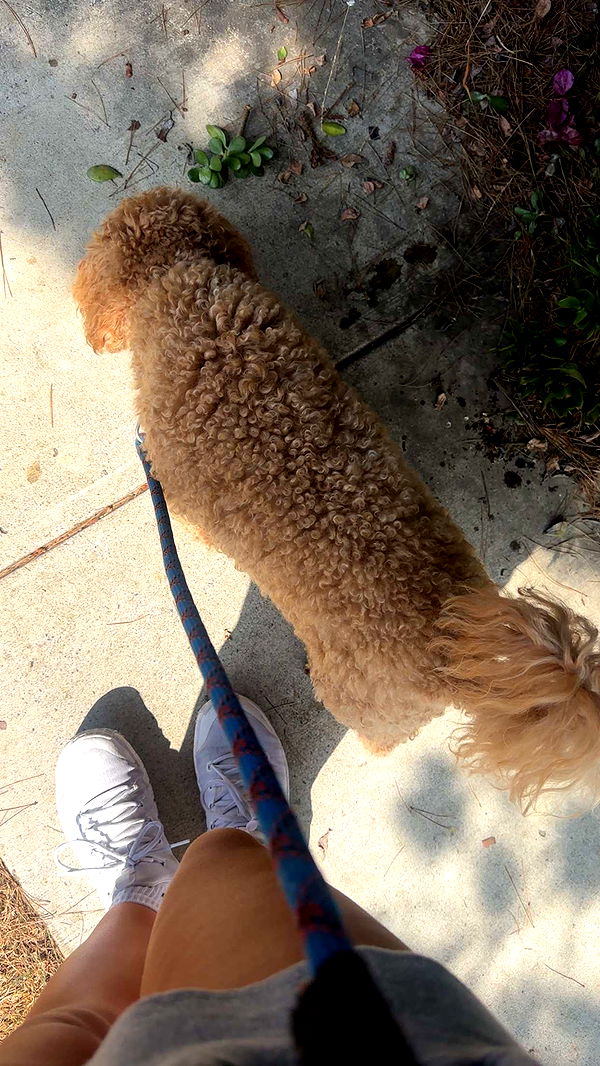 kaylamanouss17 image ~ Altpins