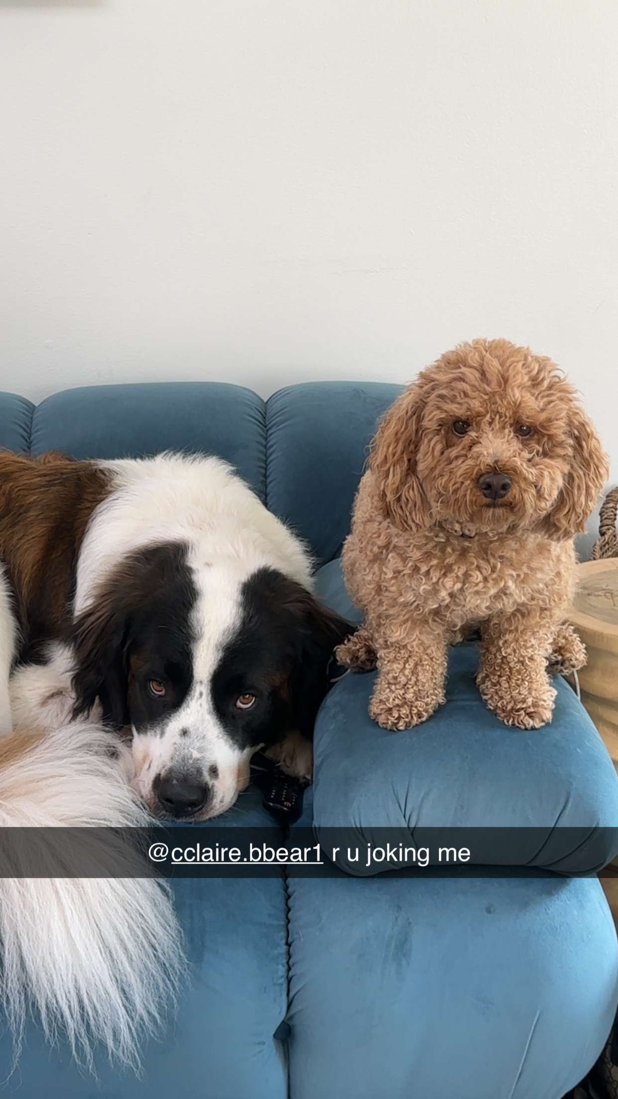 kaylamanouss17 snapchat image archive image