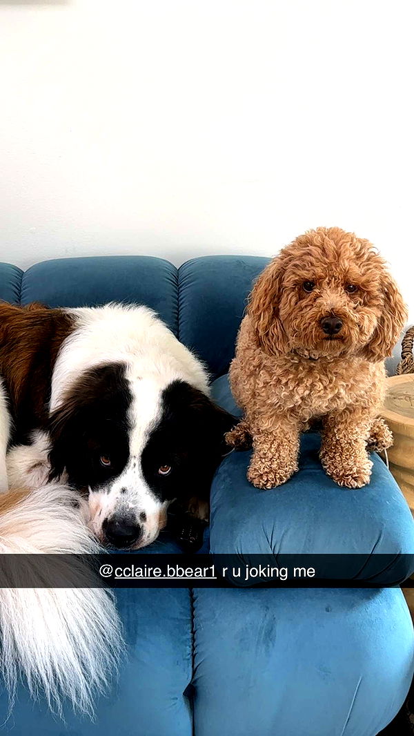 kaylamanouss17 image ~ Altpins