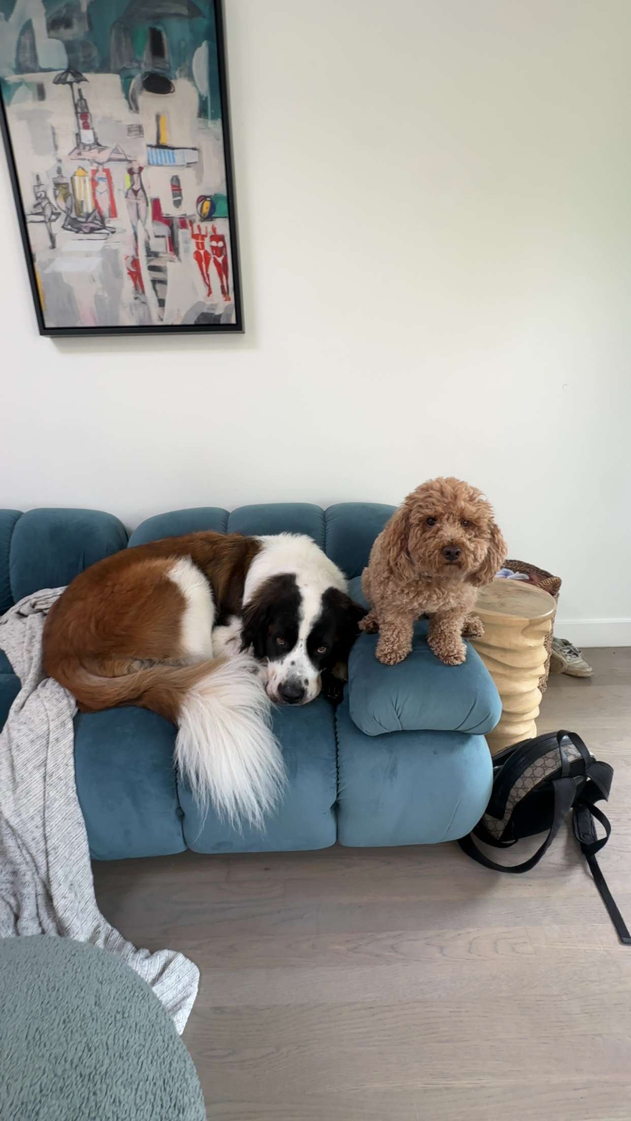 kaylamanouss17 snapchat image archive image