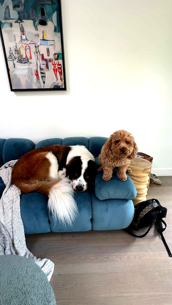 kaylamanouss17 image ~ Altpins