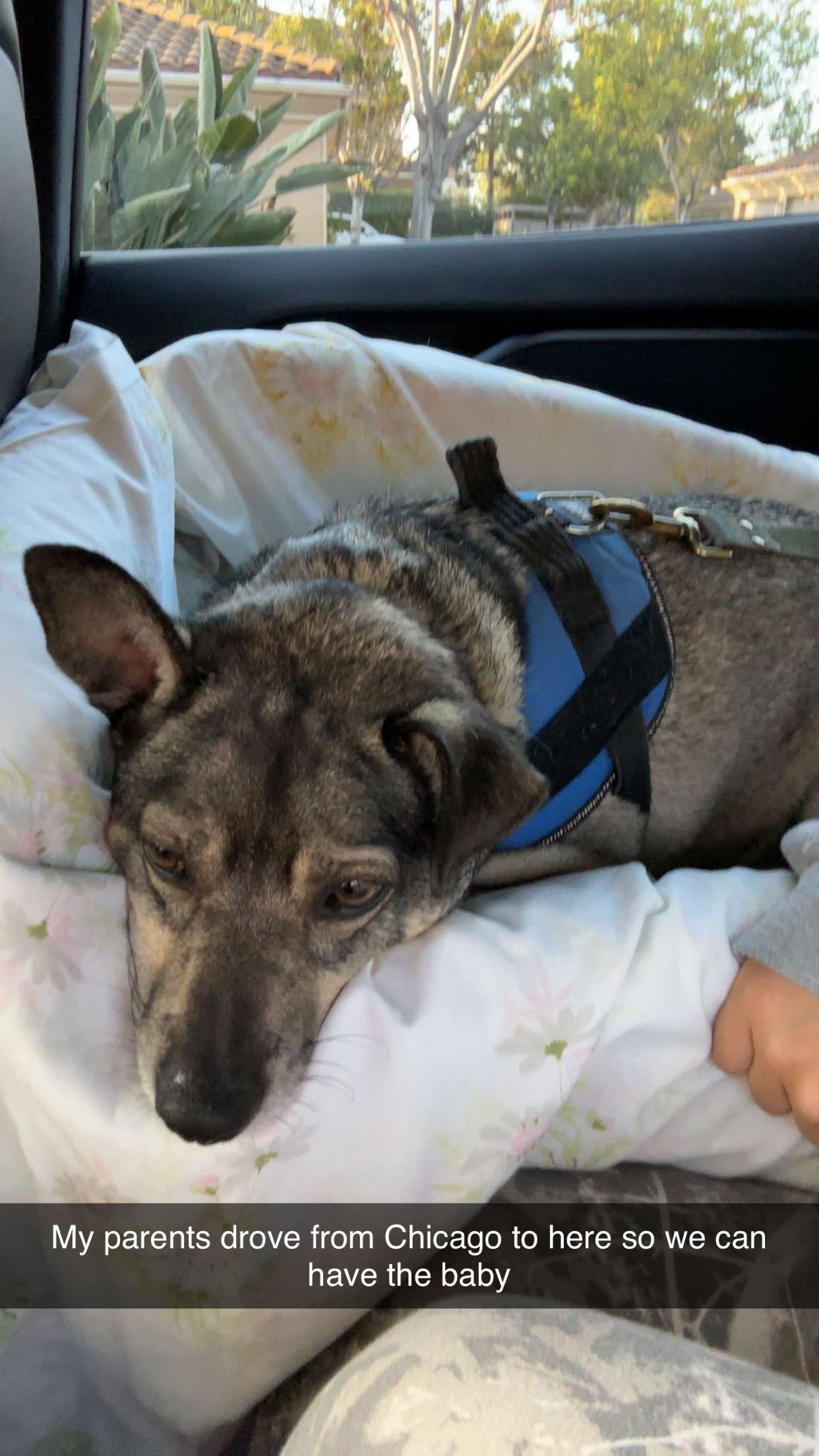 kaylamanouss17 snapchat image archive image