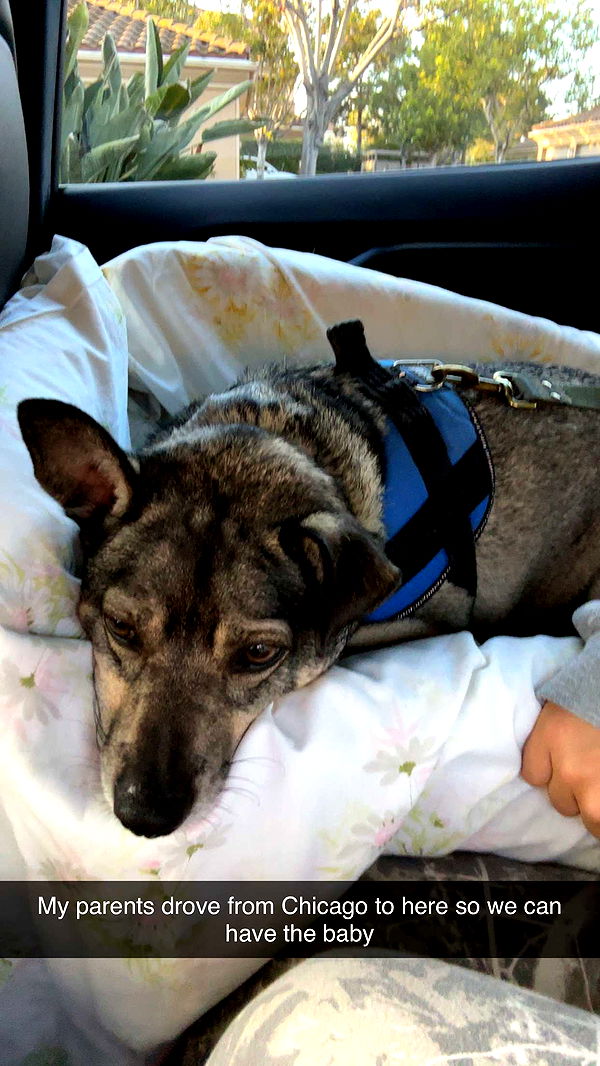 kaylamanouss17 image ~ Altpins