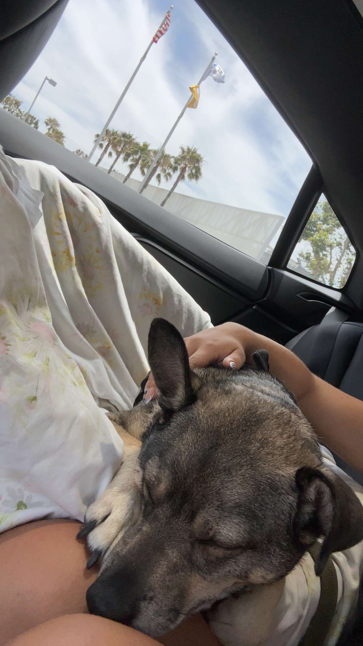 kaylamanouss17 snapchat image archive image